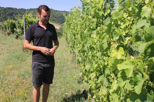 Tour image 3
