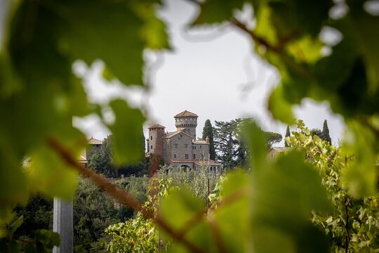 Tour image 6